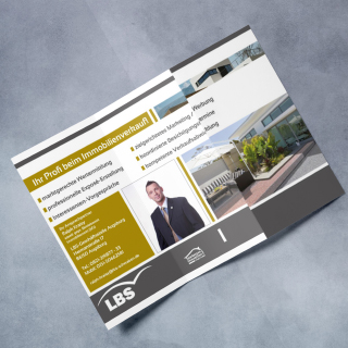 lbs sova media flyer